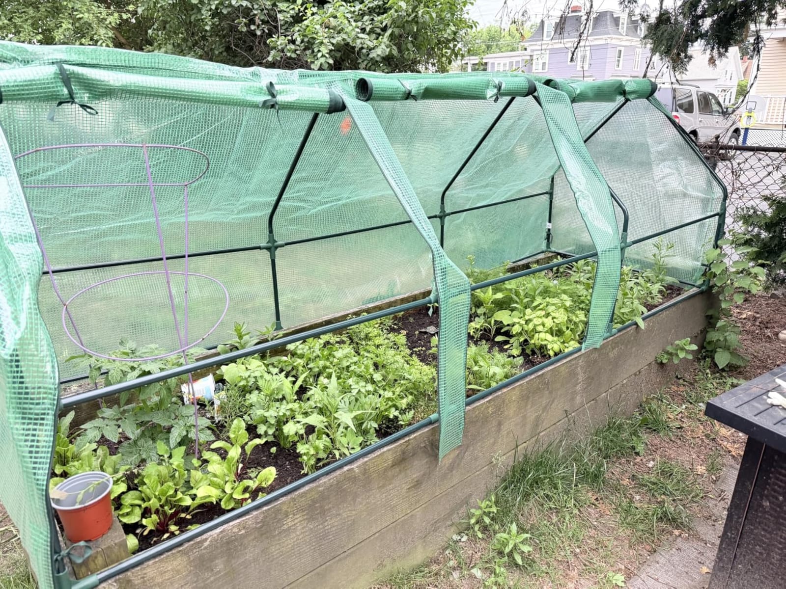 Outsunny 5.9' x 3' x 3' Mini Greenhouse Portable with Zippered Doors Green customer photo 1