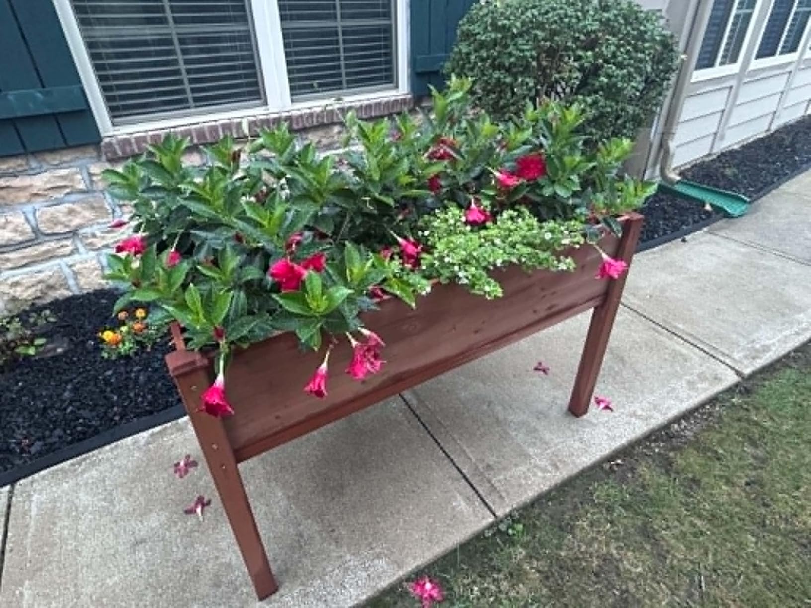 Raised Garden Bed with Legs, 48×24×30 Cedar Wood Elevated Planter Box customer photo 2