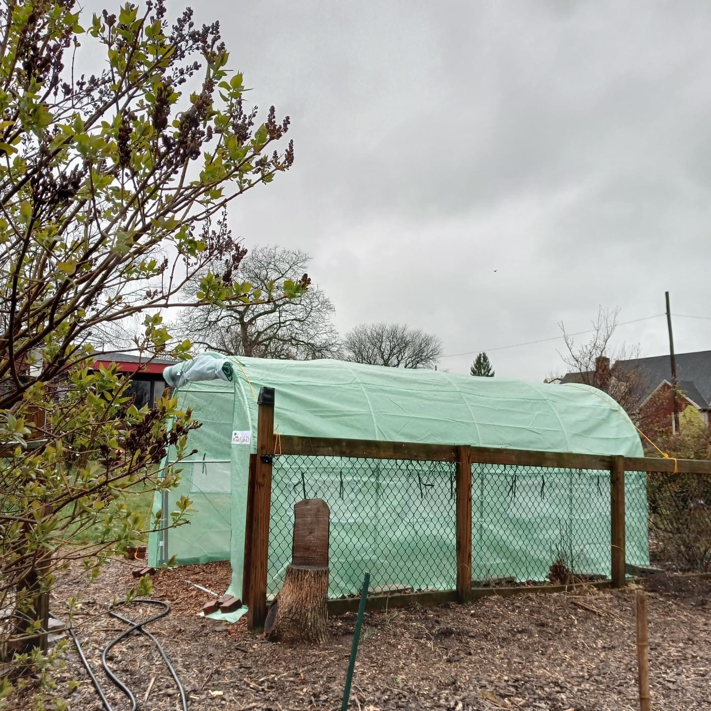 KING BIRD Premium 20x10x6.6FT Greenhouse for Outdoors Large Walk-in House customer photo 1