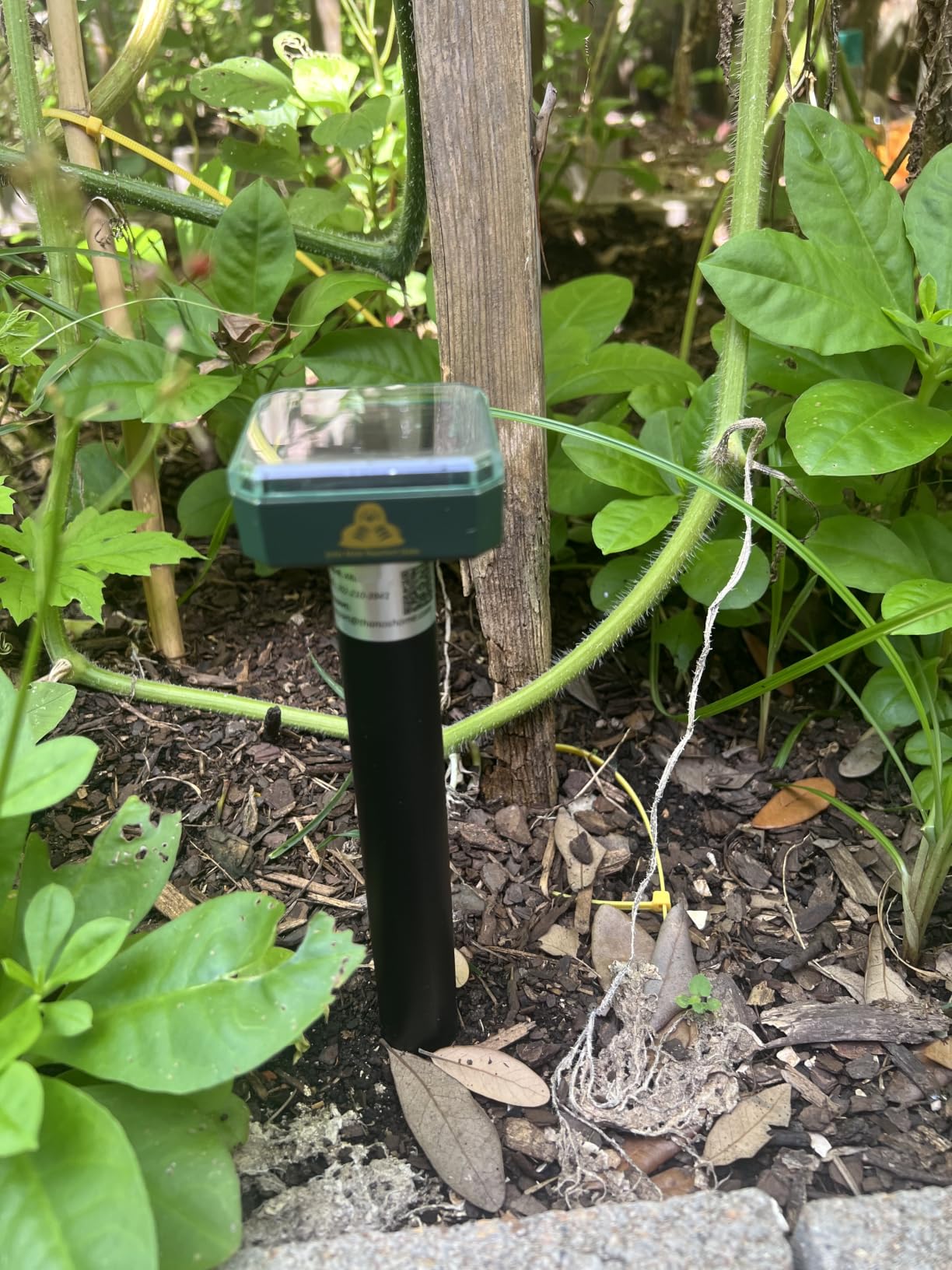 8 Packs Mole Repeller for Lawns, Solar Powered Mole Repellent Vole & Gopher Deterrent, IP 65 Waterproof Humane Pest Control for Gopher Vole Snake in Lawn, Garden & Yard customer photo 1