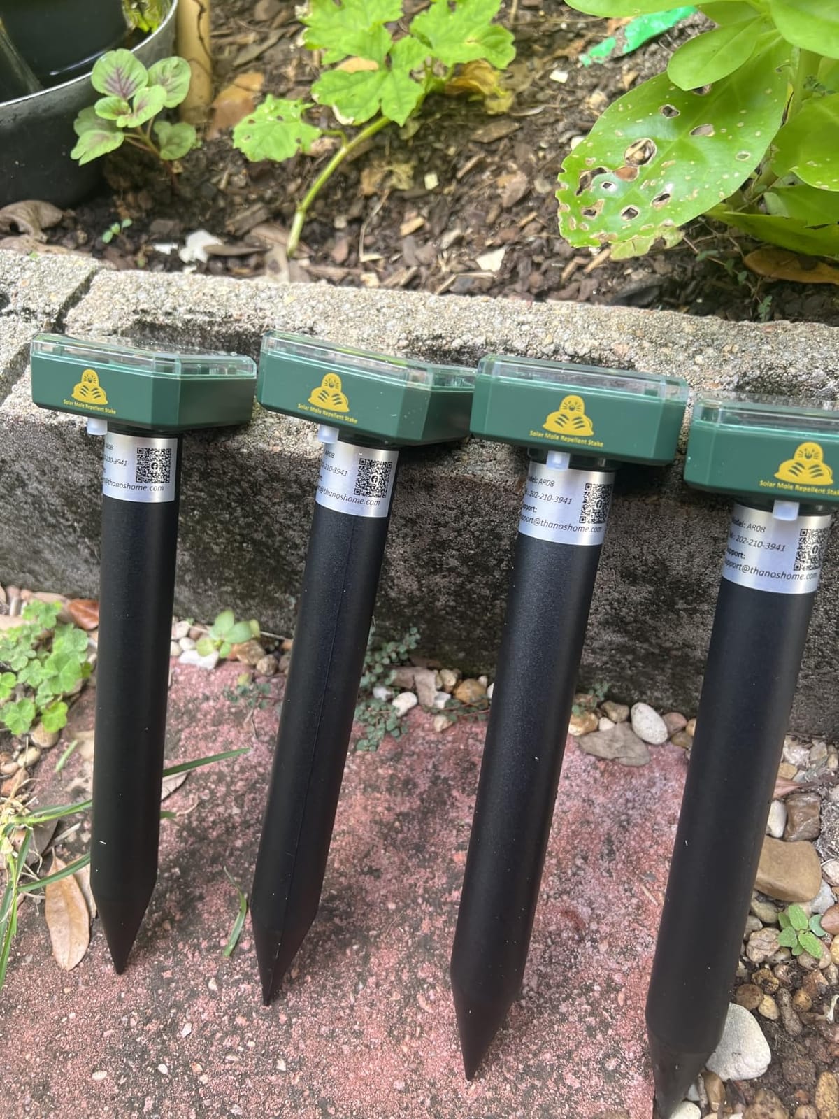 8 Packs Mole Repeller for Lawns, Solar Powered Mole Repellent Vole & Gopher Deterrent, IP 65 Waterproof Humane Pest Control for Gopher Vole Snake in Lawn, Garden & Yard customer photo 2